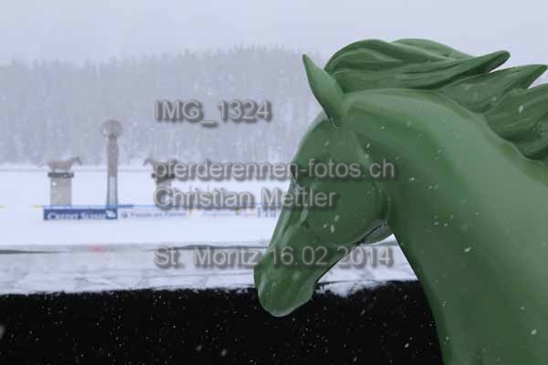 IMG 1324 prot